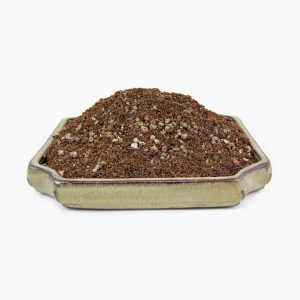 Arcadia African Violet <br>"Wick-Mix"