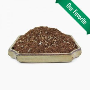 Arcadia African Violet Mix