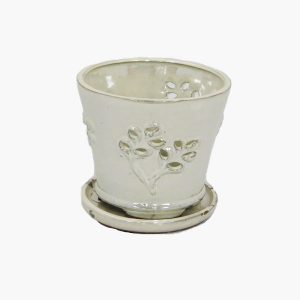 6" Round - Snow White