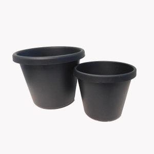 Cymbidium Orchid Pot