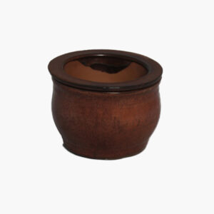 6" Round - Wheat Penny