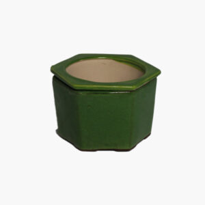 6" Hexagon - Guacamole