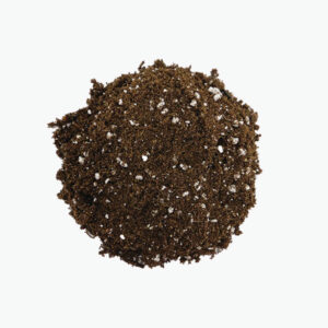 Premium Grade Sphagnum Peat