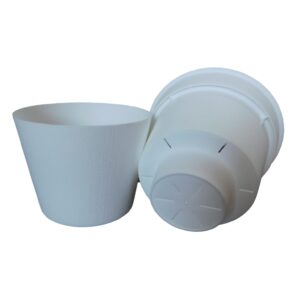Oyama Planters - 5"
