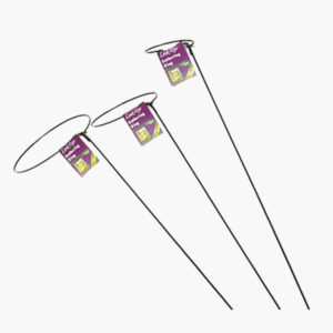 Gathering Ring Plant Support