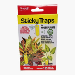 Sticky Traps