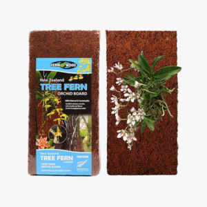 New Zealand Tree Fern Orchid Board